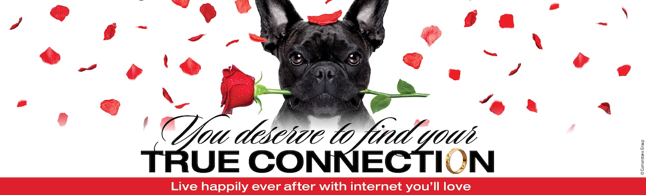 Find your true connection!